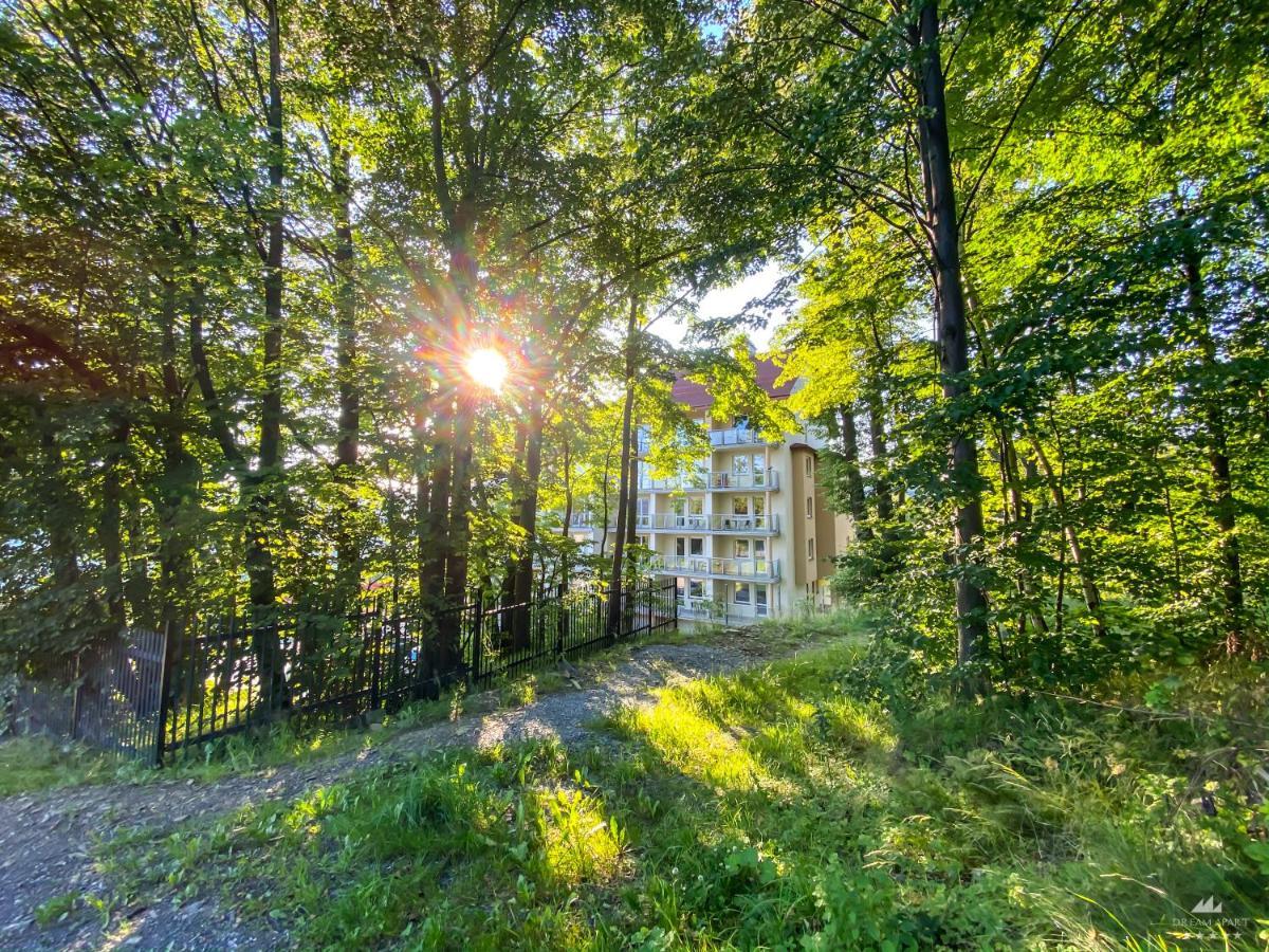 Apartamenty Kamienna Z Widokiem Na Gory I 2 Km Do Wyciagu Skolnity - Dream Apart Висла Экстерьер фото