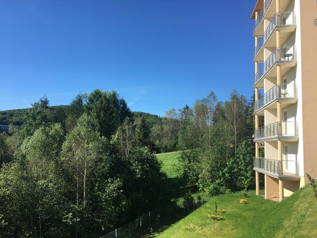 Apartamenty Kamienna Z Widokiem Na Gory I 2 Km Do Wyciagu Skolnity - Dream Apart Висла Экстерьер фото